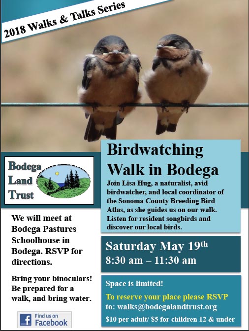BLT Bird Walk May 19 2018
