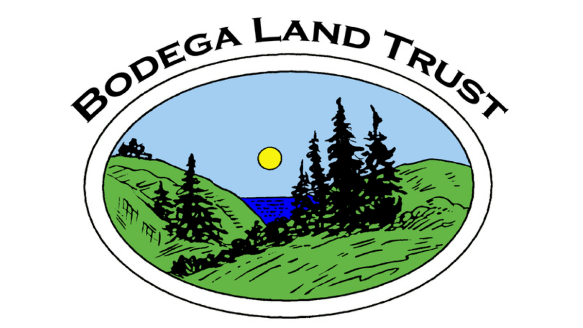 BLT Logo